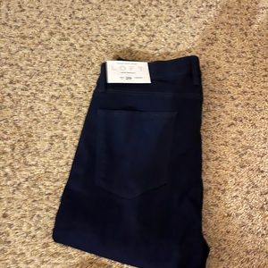 BNWT Loft Jean Leggings | Size 8
